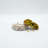 Amaretti Pistachio Biscuits – 270g | Pack of 9